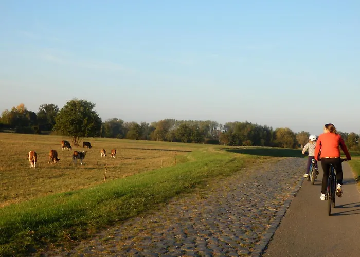 Ferienhof Gruene Kuh