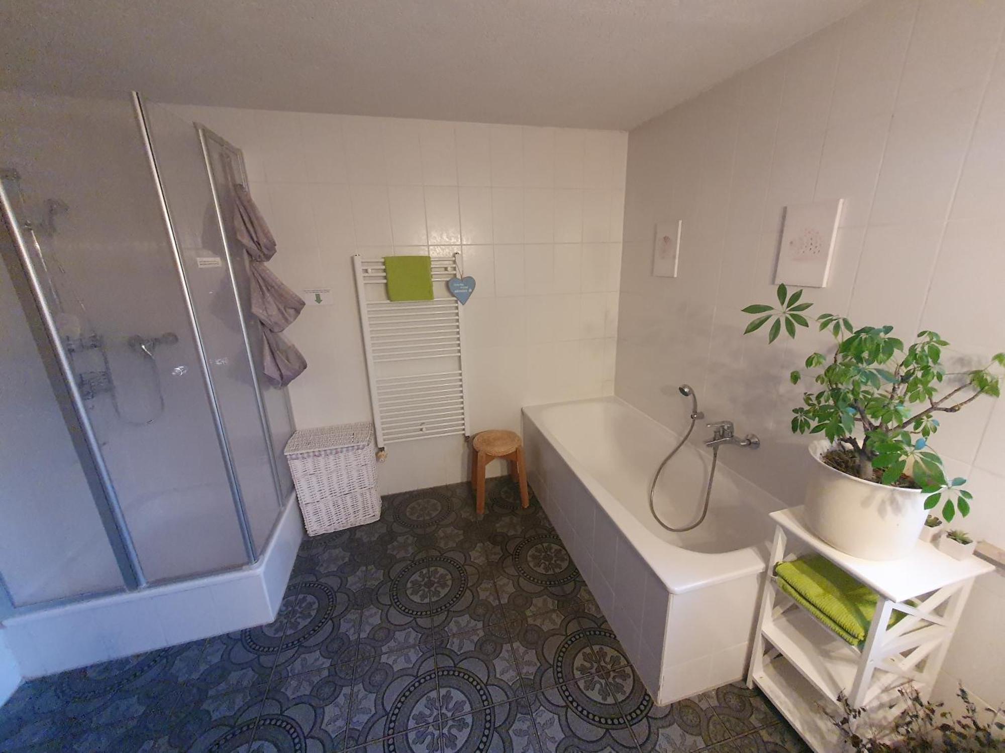 Gruene Kuh Apartament Elsteraue