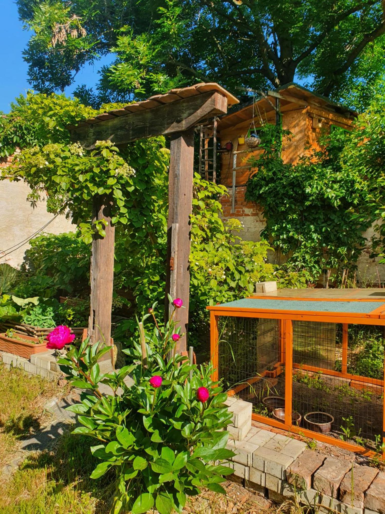 Gruene Kuh Apartament Elsteraue